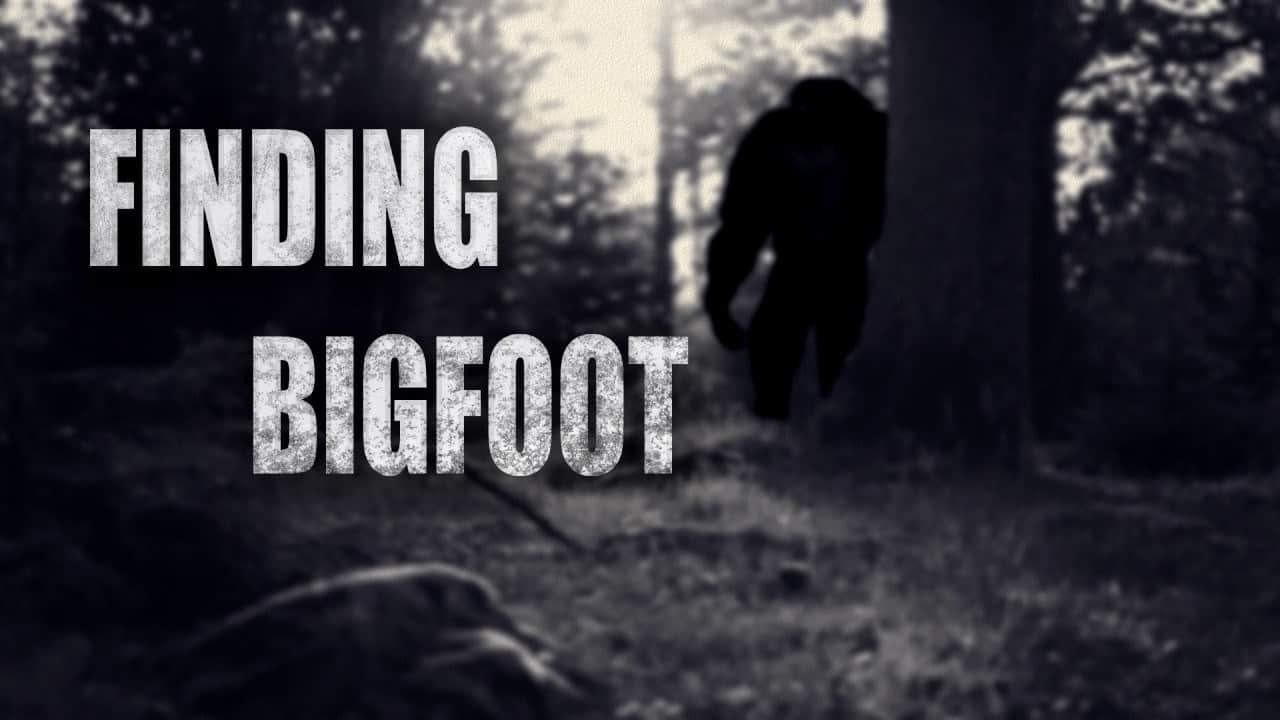 Bigfoot frei herunterladen