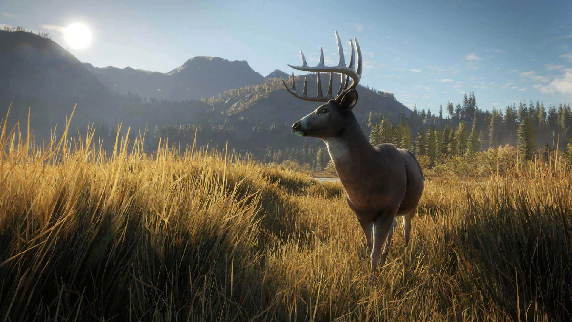 theHunter Call of the Wild Download Kostenlos 5 herunterladen