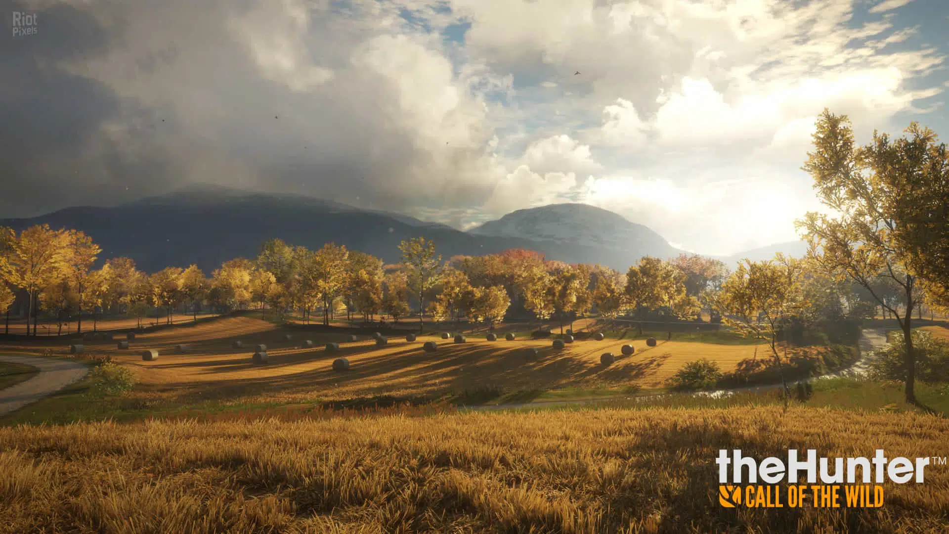theHunter Call of the Wild Download Kostenlos 4 herunterladen