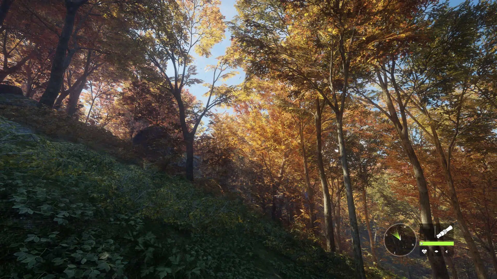 theHunter Call of the Wild Download Kostenlos 3 herunterladen