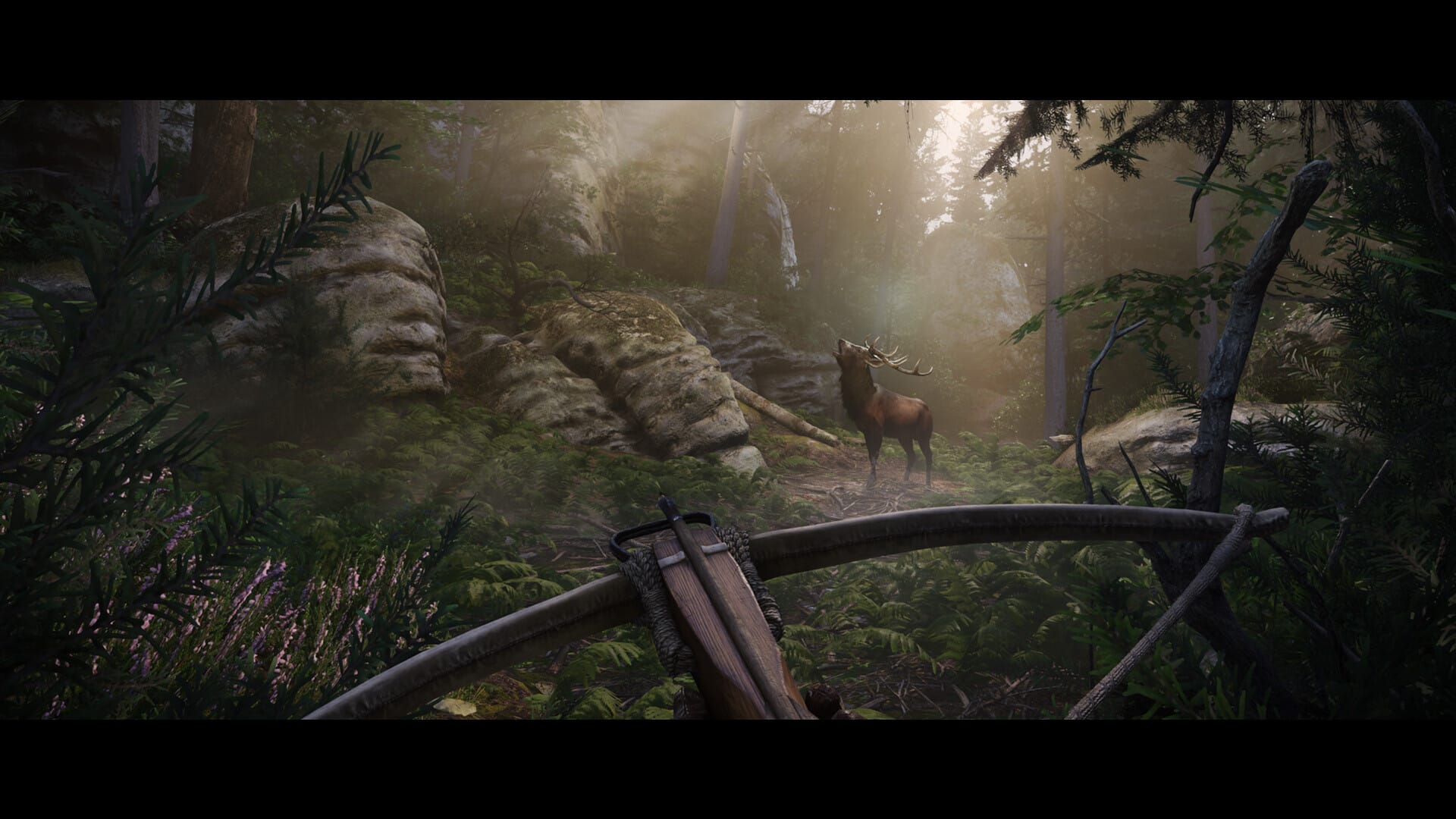 Kingdom Come Deliverance II für PC Deutsch 3 Kingdom Come Deliverance II für PC